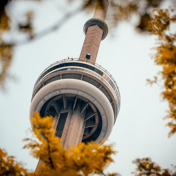 View from beneath CN tower with fall foliage