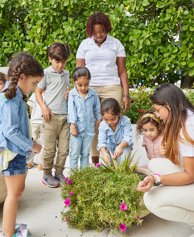 Children looking at a plant with adults