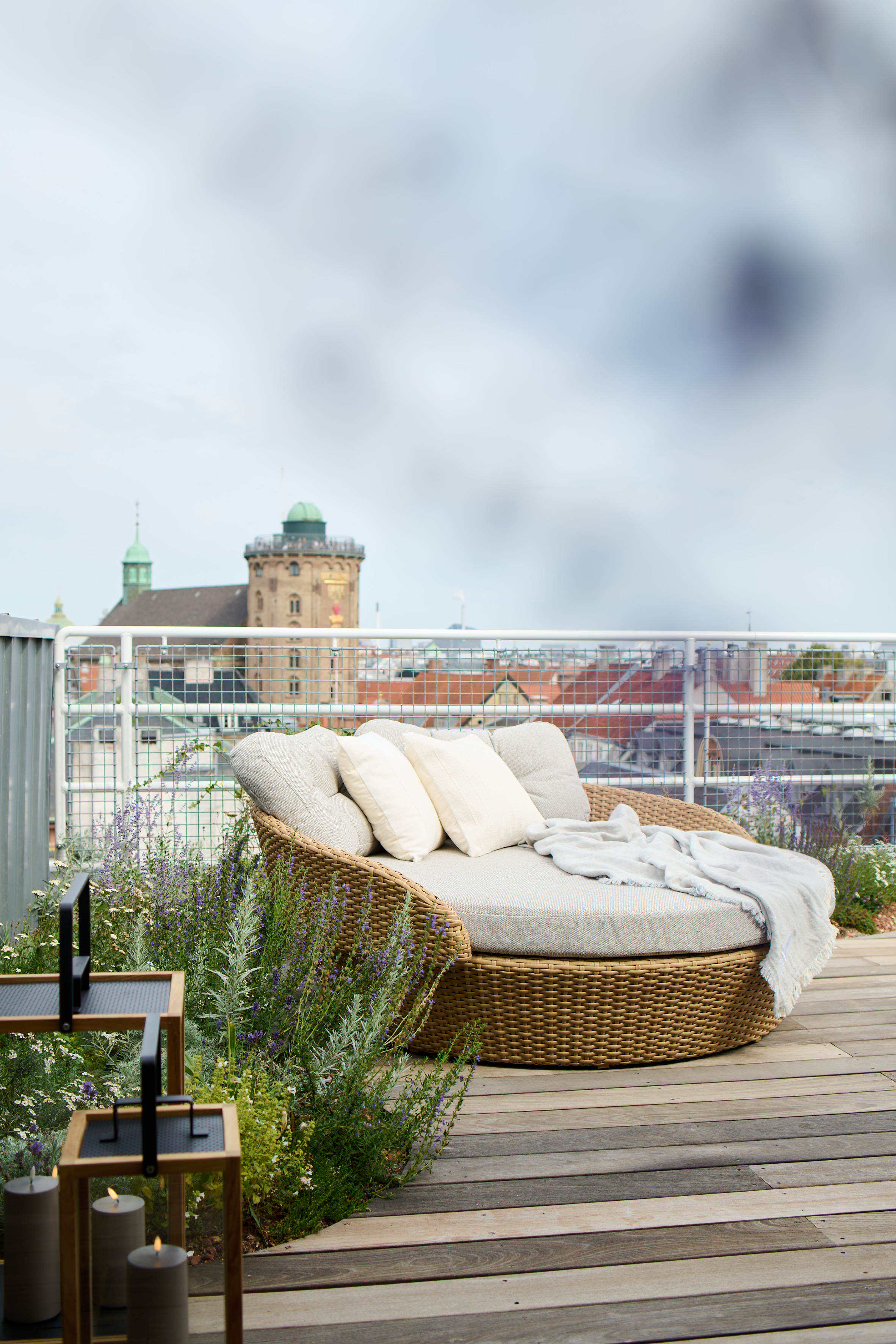 Willow Terrace House