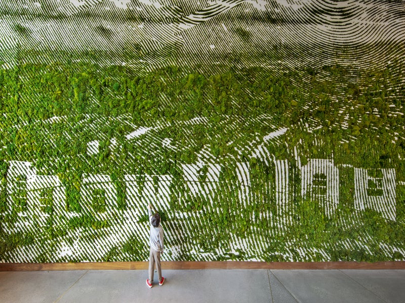 eco green wall