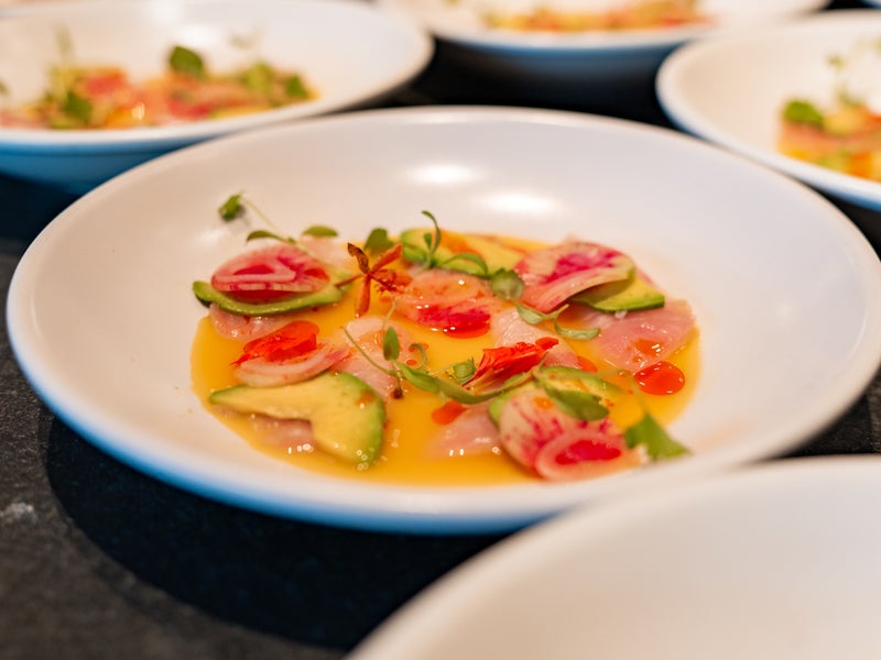 dish