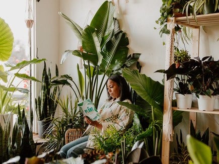 The Plant Queen