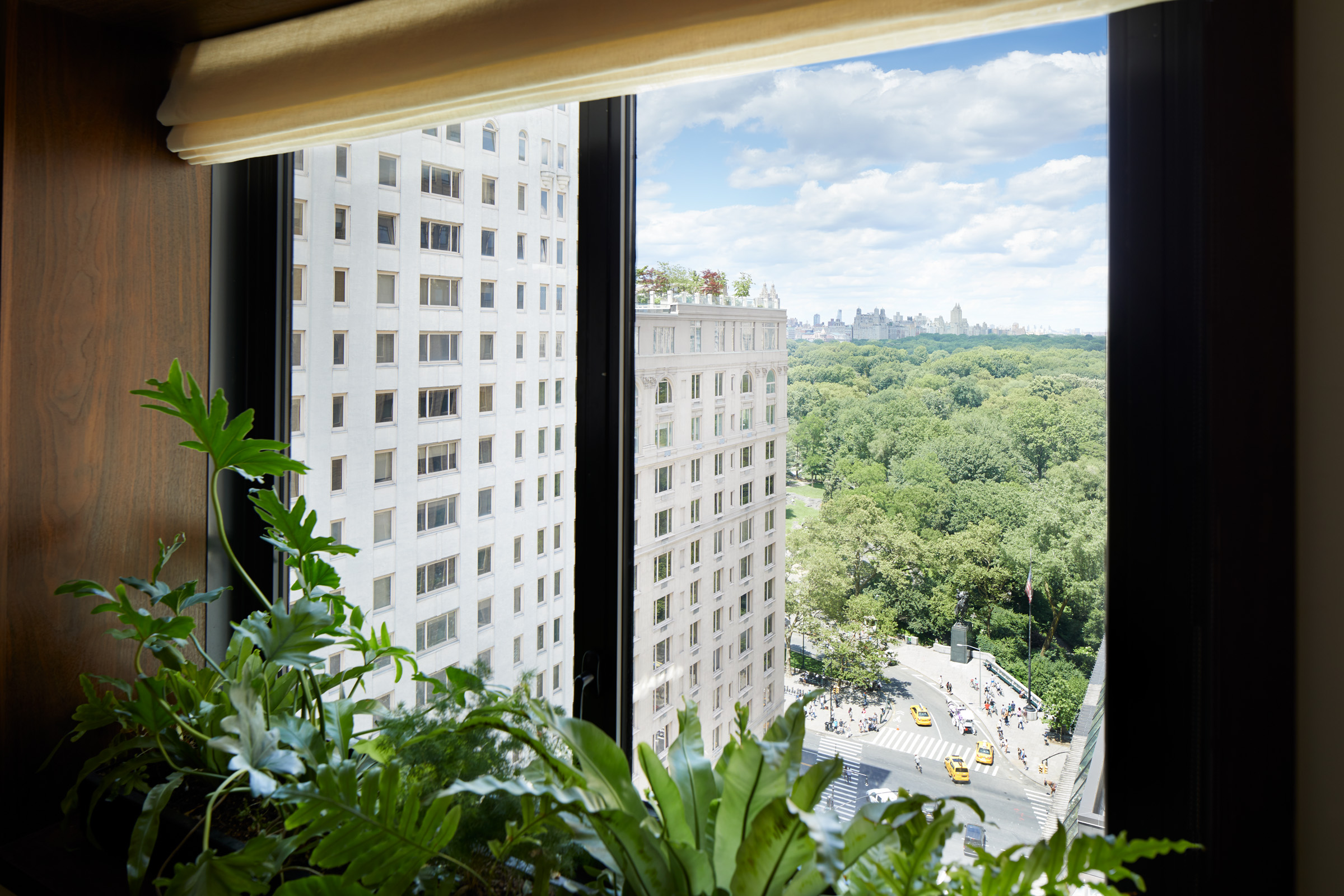 View out a high window to another building and trees