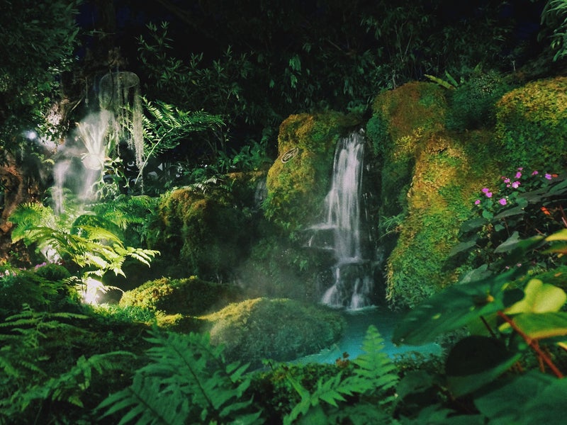 Waterfall nestled in a jungle