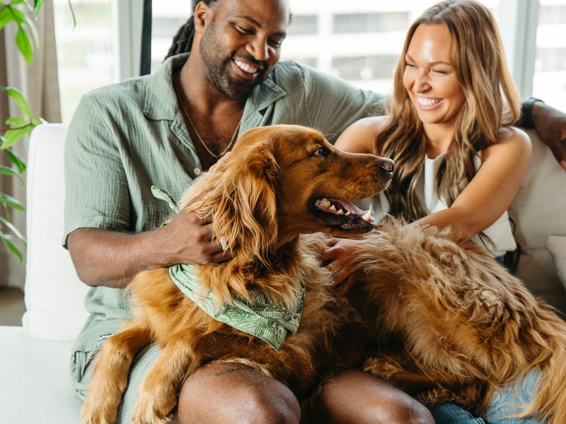 A couple and a dog
