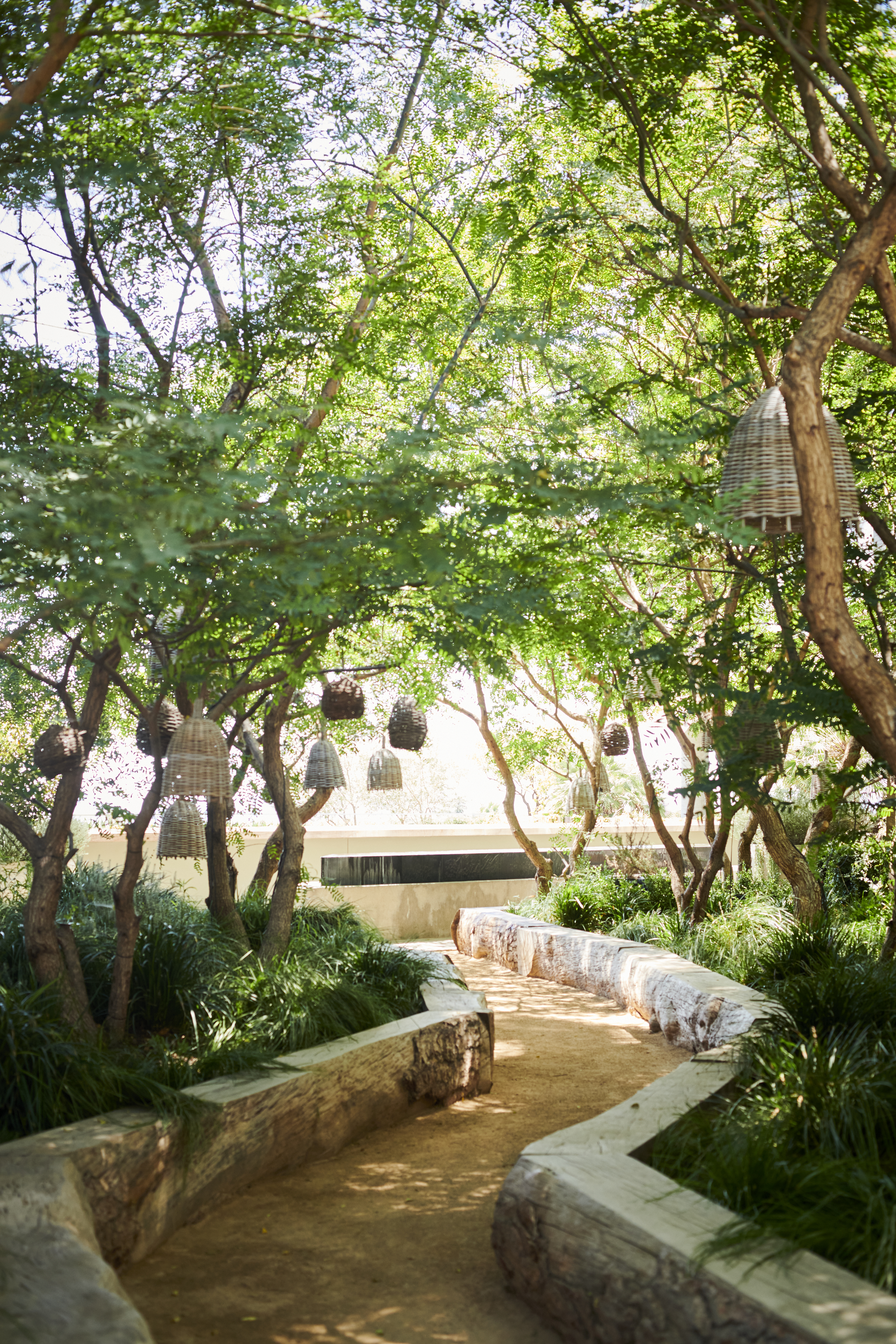 Outdoor walkway through trees