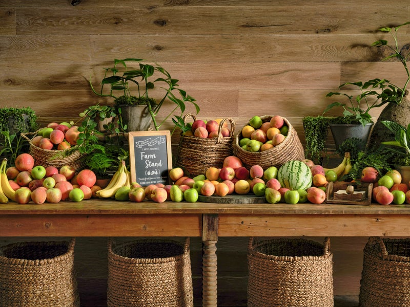 A long rustic wooden table with a sign that reads Farm Stand is surrounded by a plethora of apples of several varieties