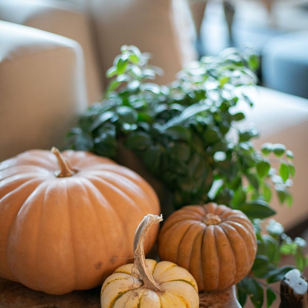 fall