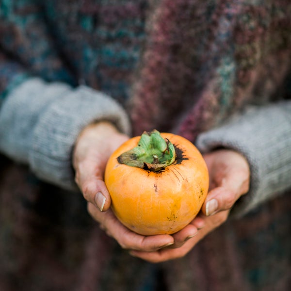 Person holding pumpkin