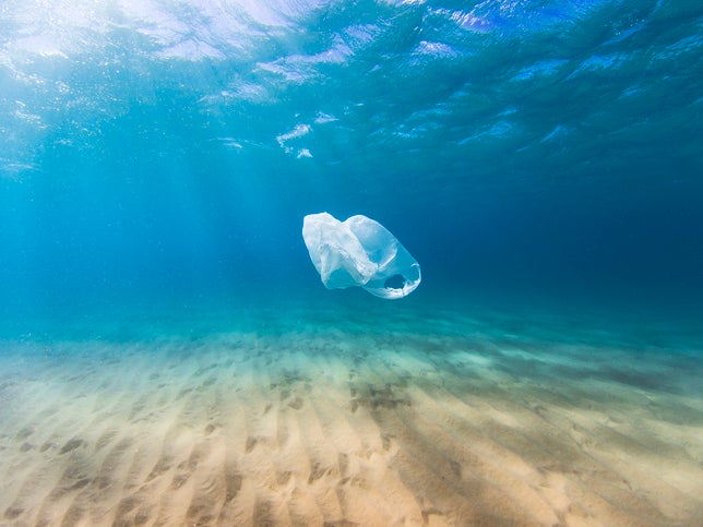 A plastic bag floating in the ocean