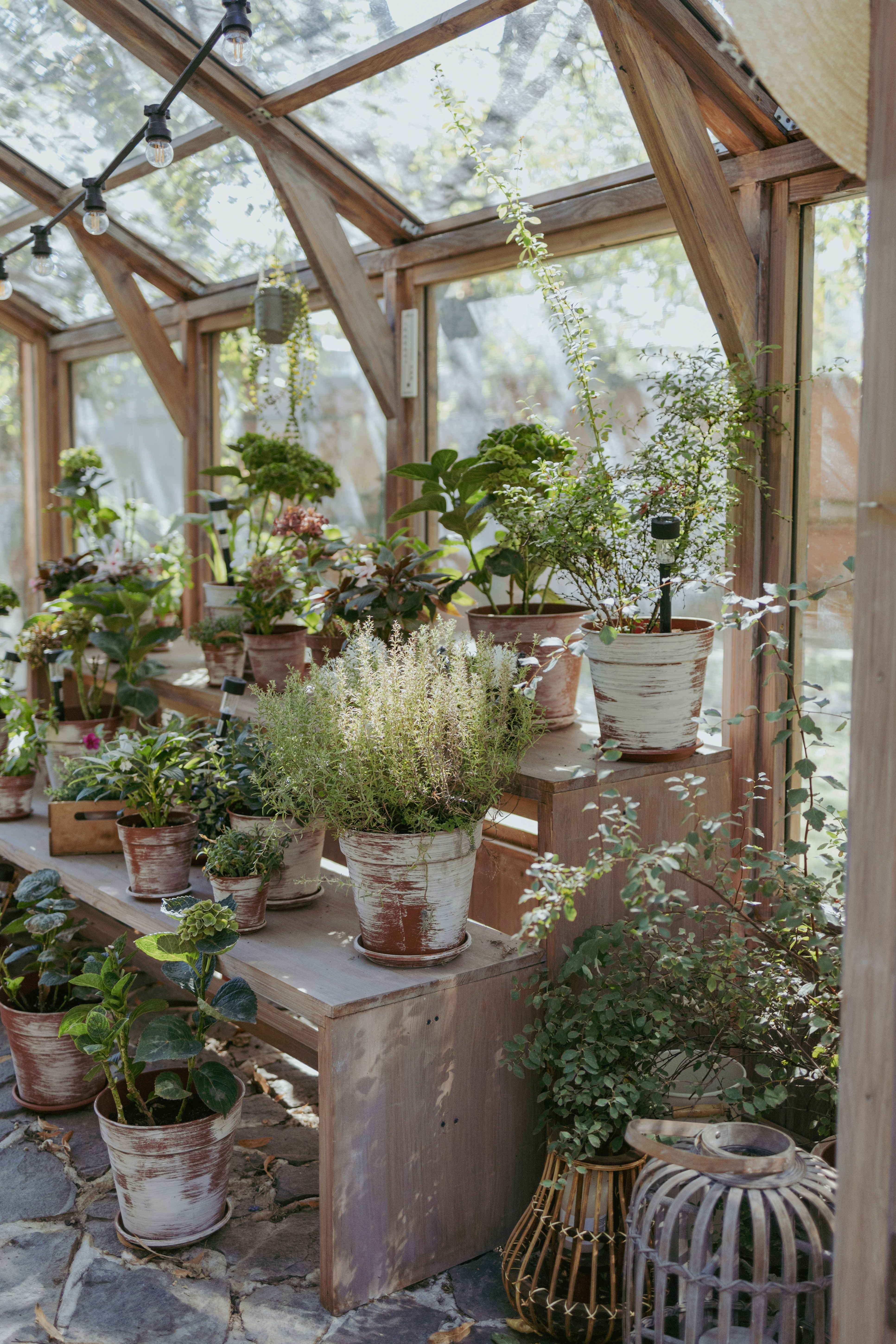 winter greenhouse