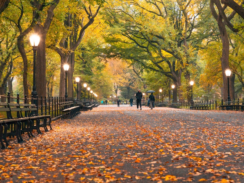 Central Park