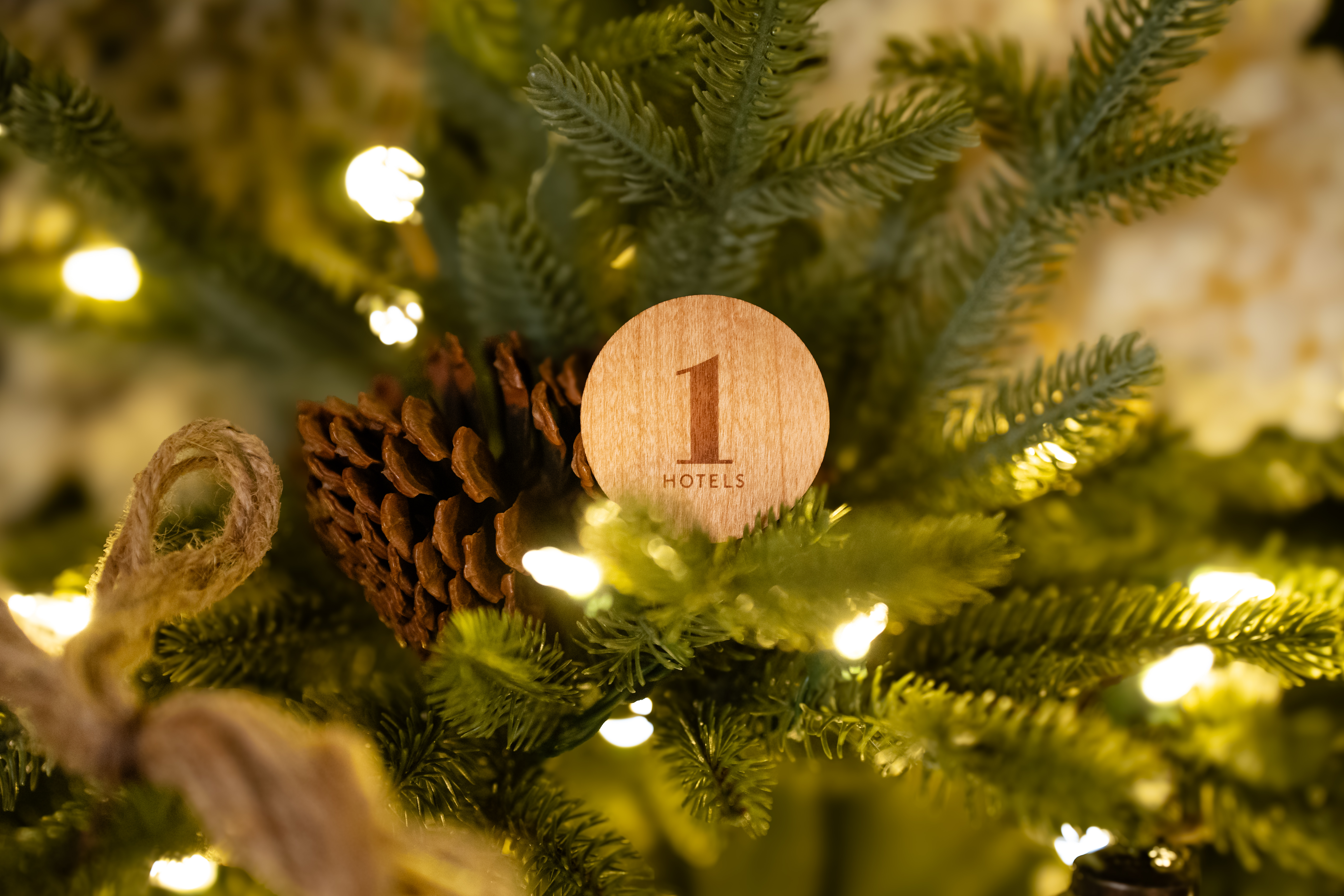 Ornament on pine tree