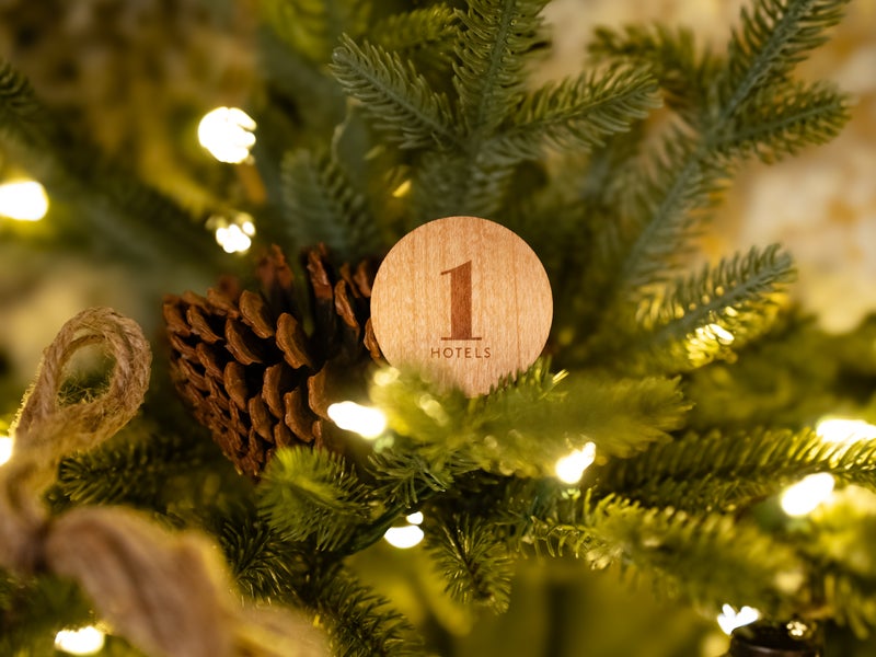 Ornament on pine tree