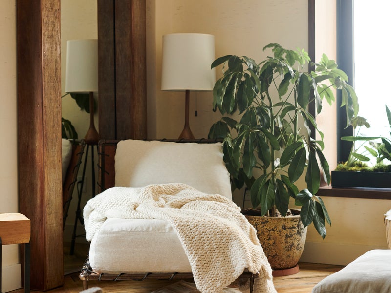 Greenhouse suite interior