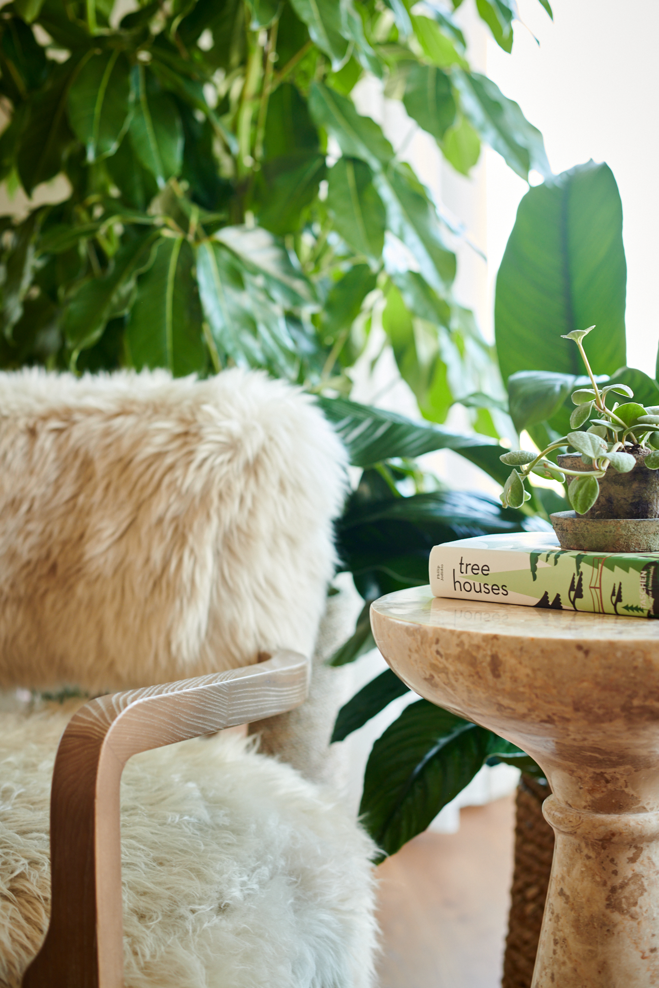 テーブルの上の椅子と本