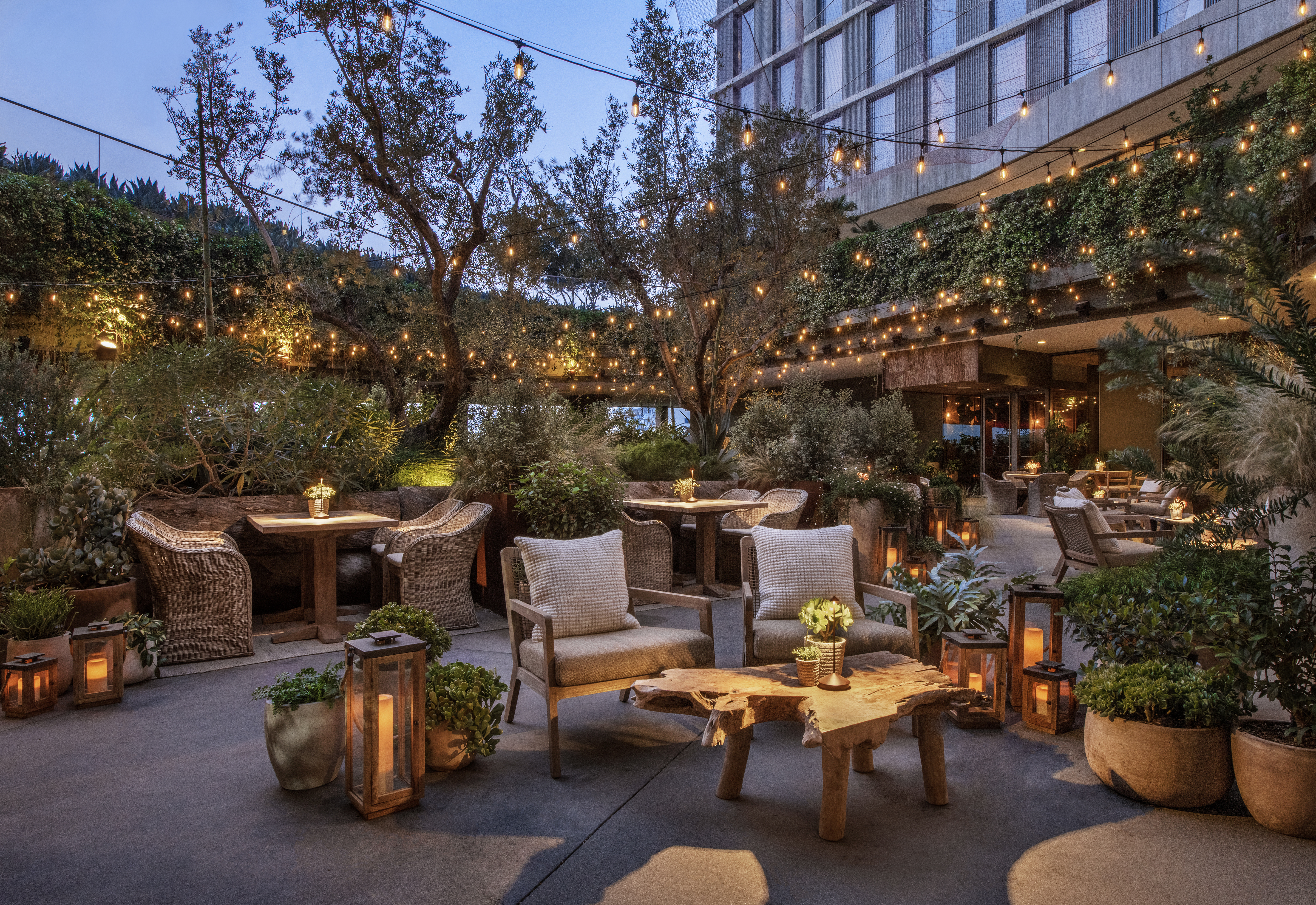 Juniper tuin 's avonds