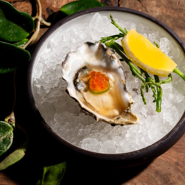 Oysters