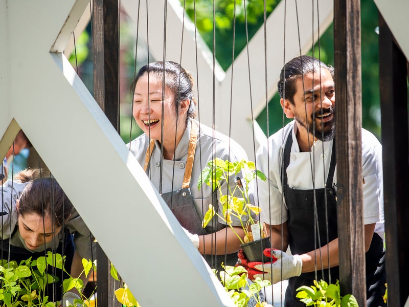 People with aprons tending to a garden