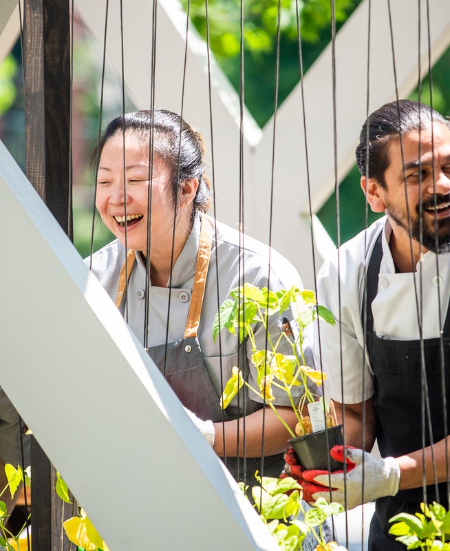 People with aprons tending to a garden
