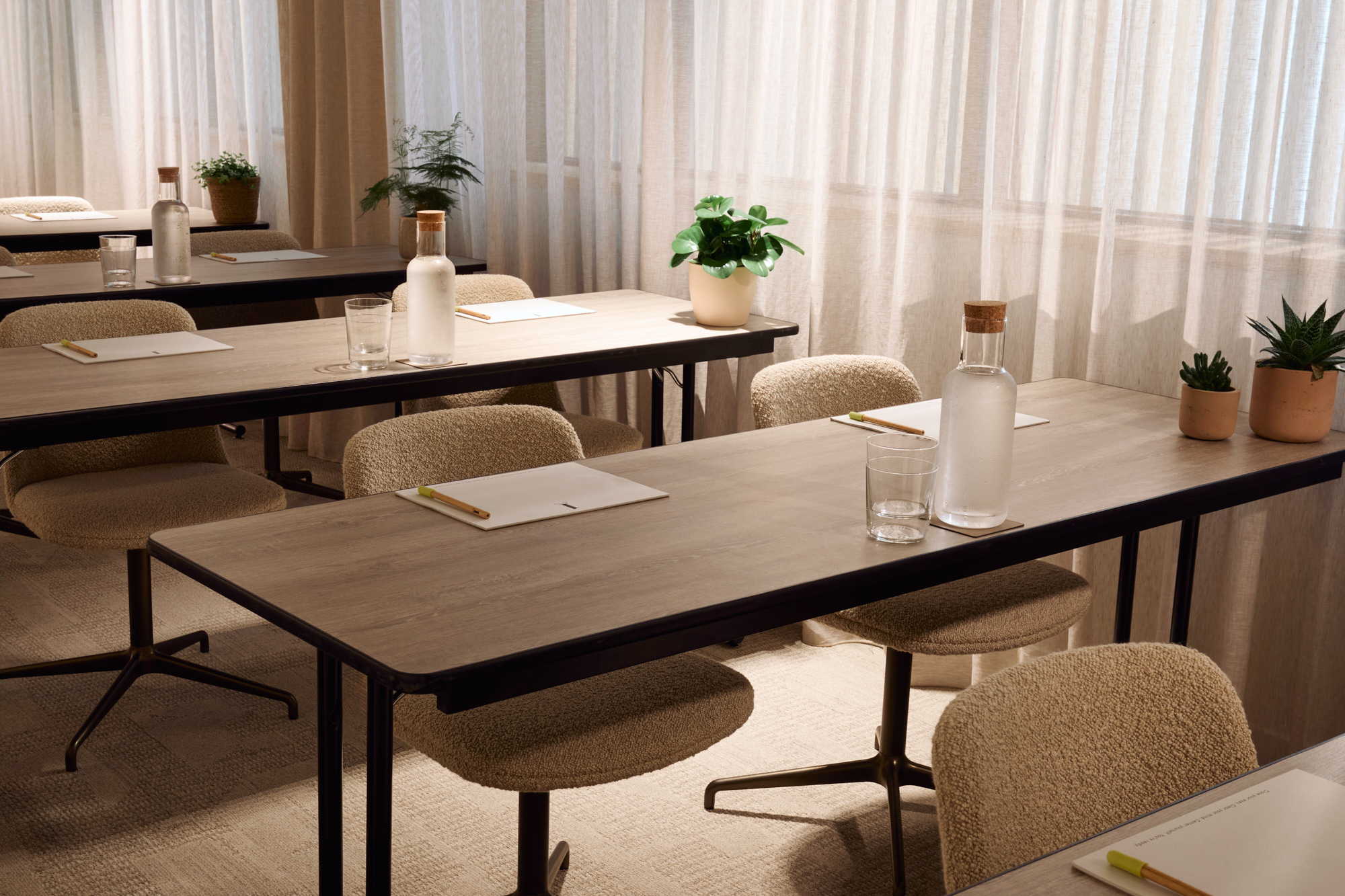 Juniper in classroom