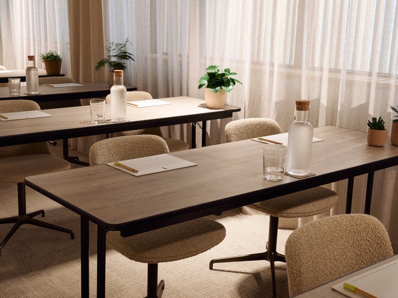 Juniper in classroom