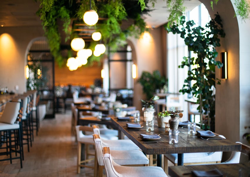 Terrene Interior