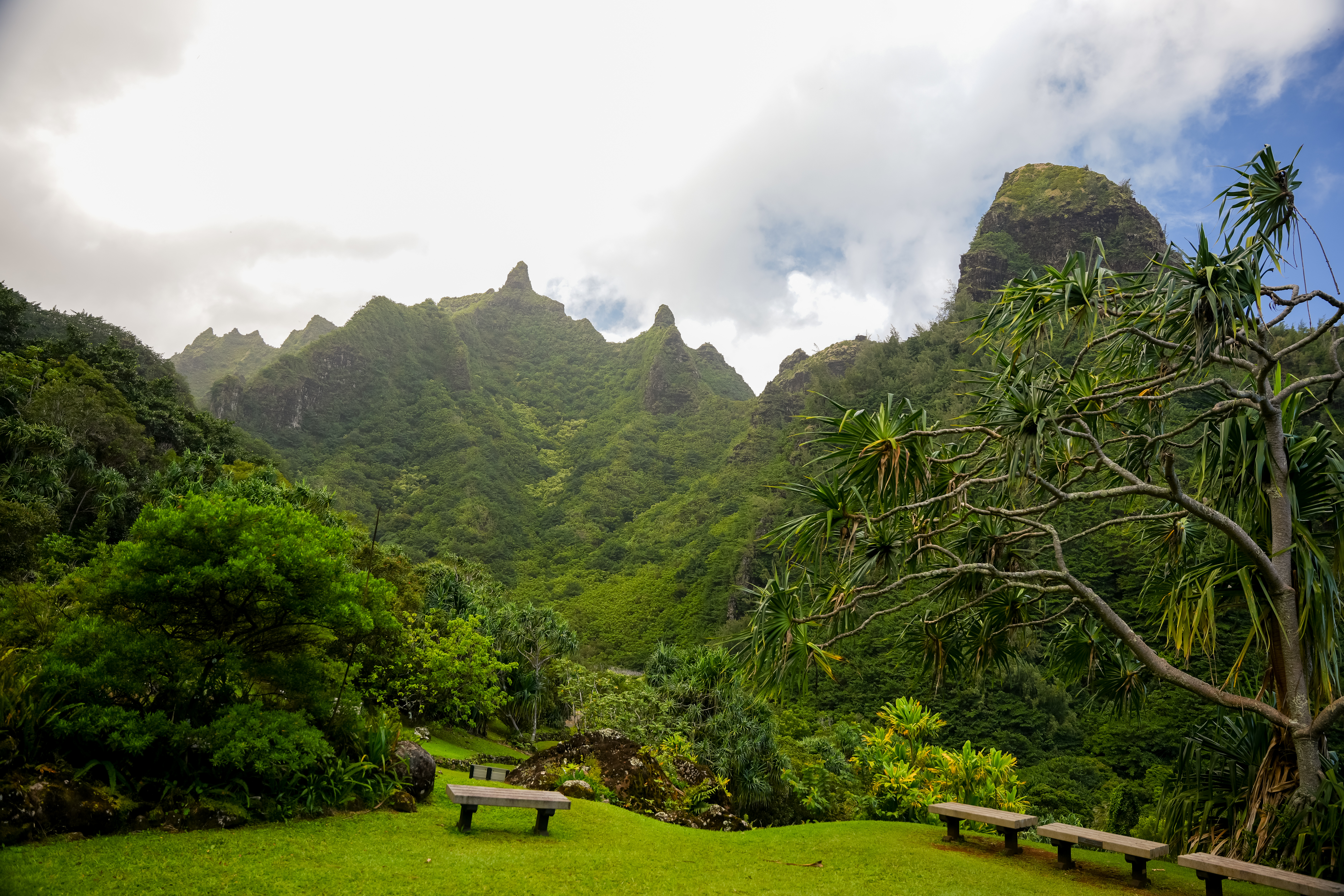 Landschap van Limahuli Gardens
