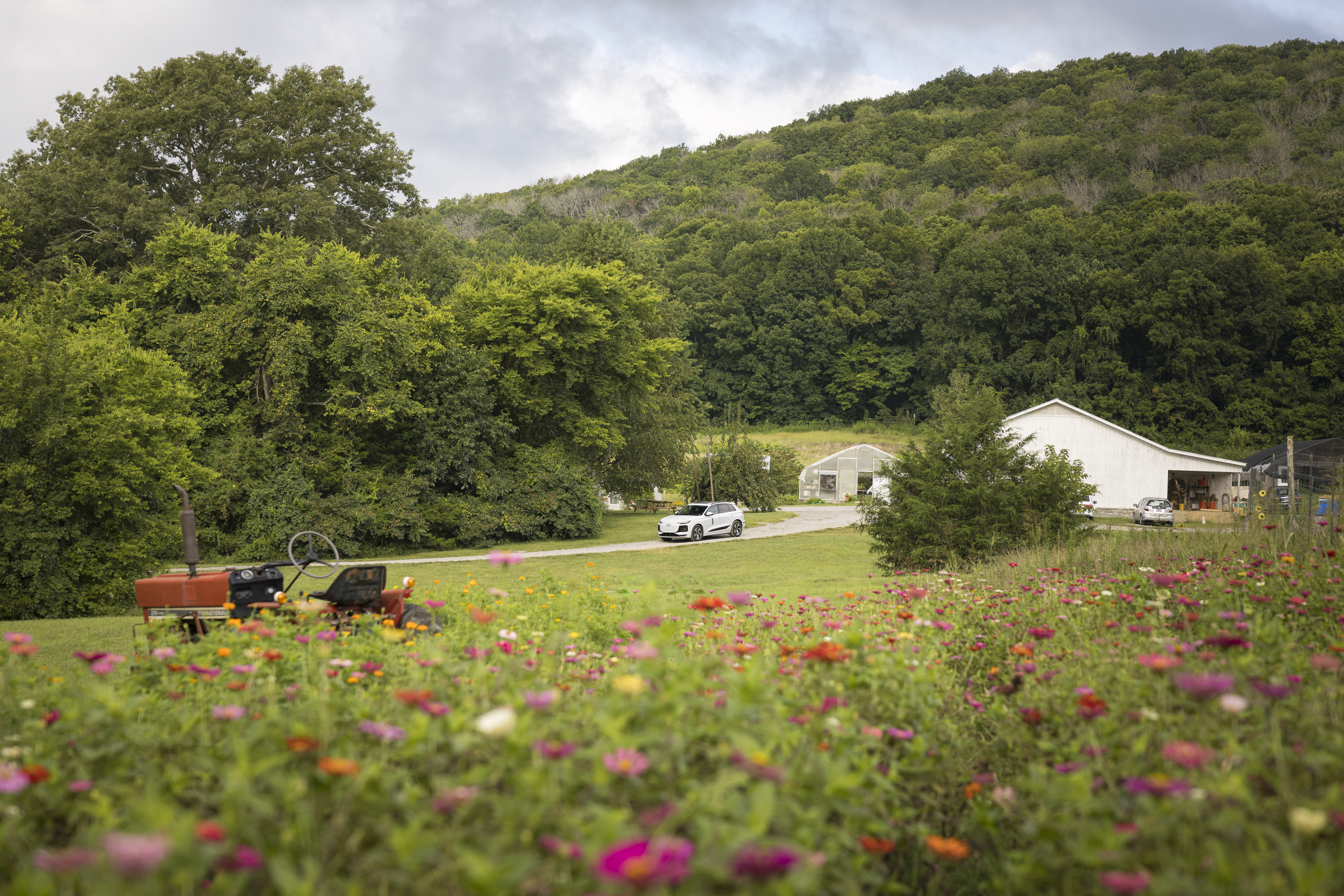 audi driving through a farm