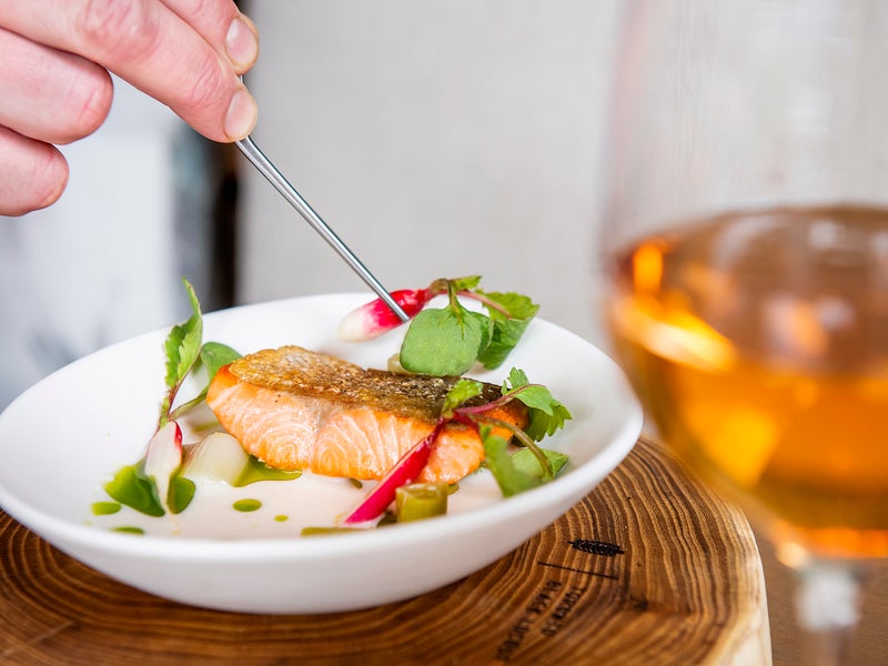 Salmon meal