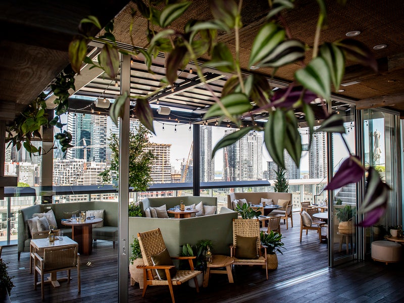 Harriet's Patio