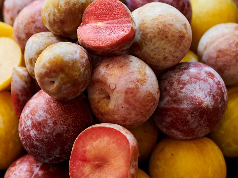 Basket of plums