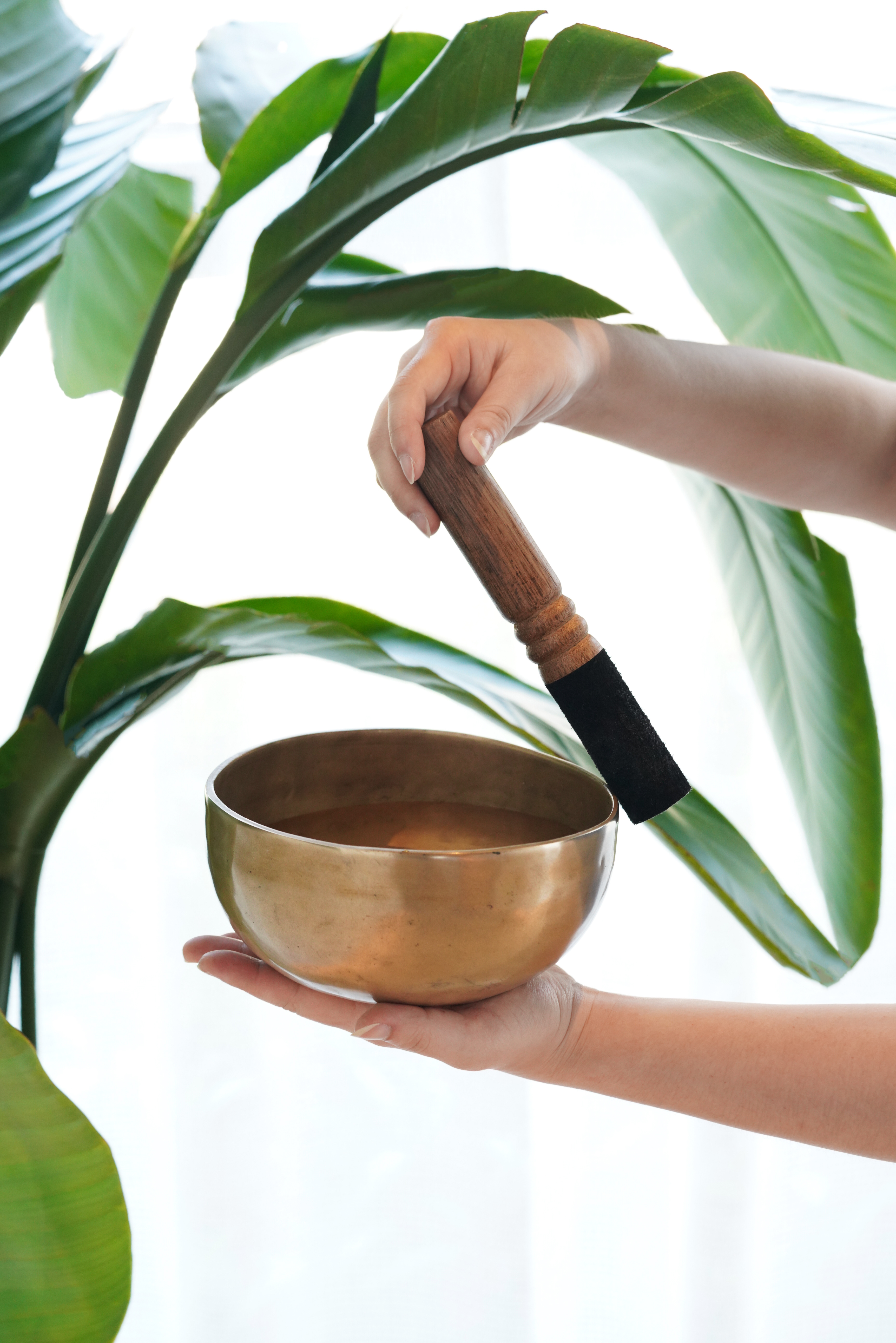 Une main tient un bol chantant, tandis qu'une autre main passe le maillet sur le bord.