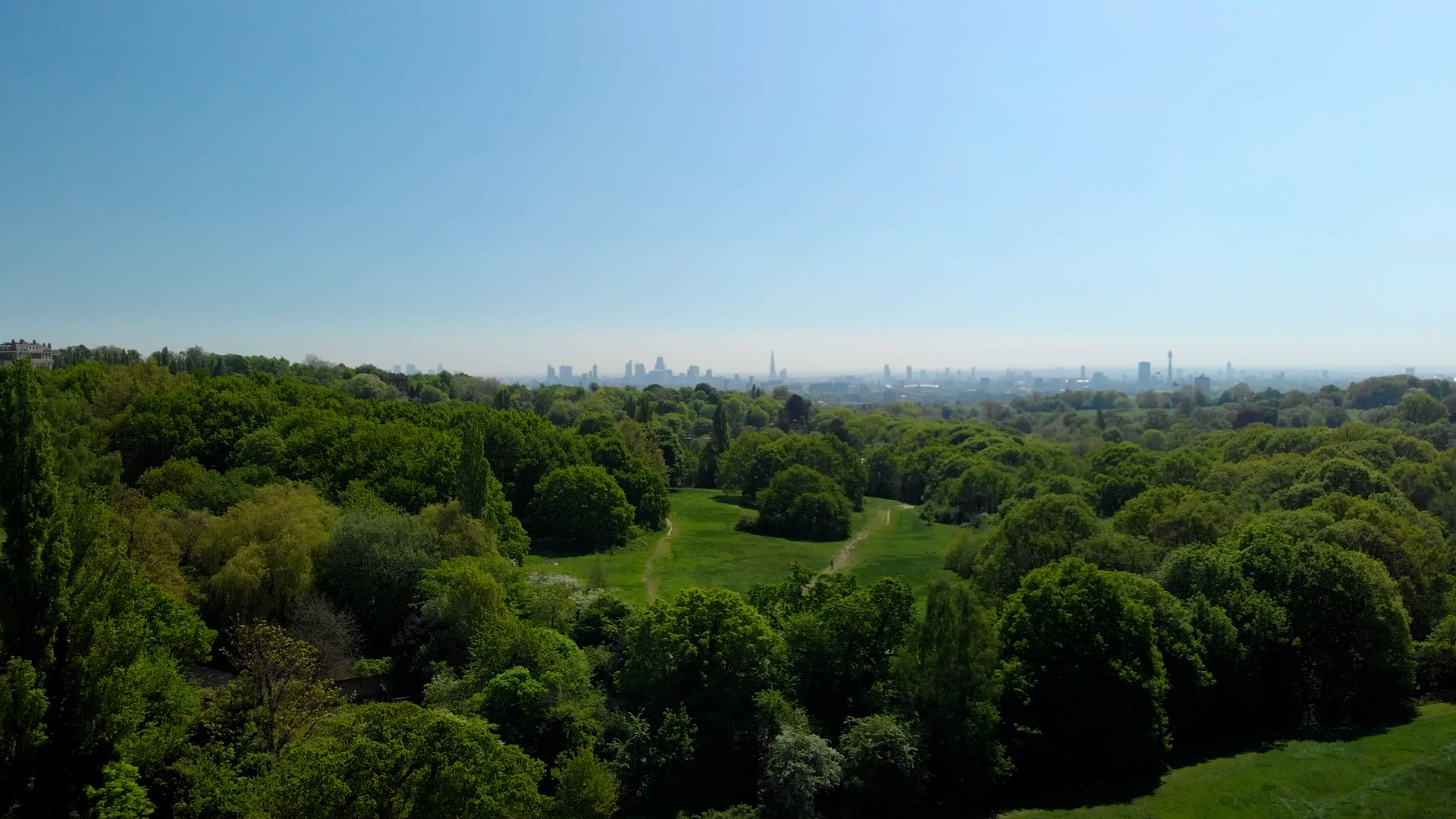 distant city skyline visible over the tree tops