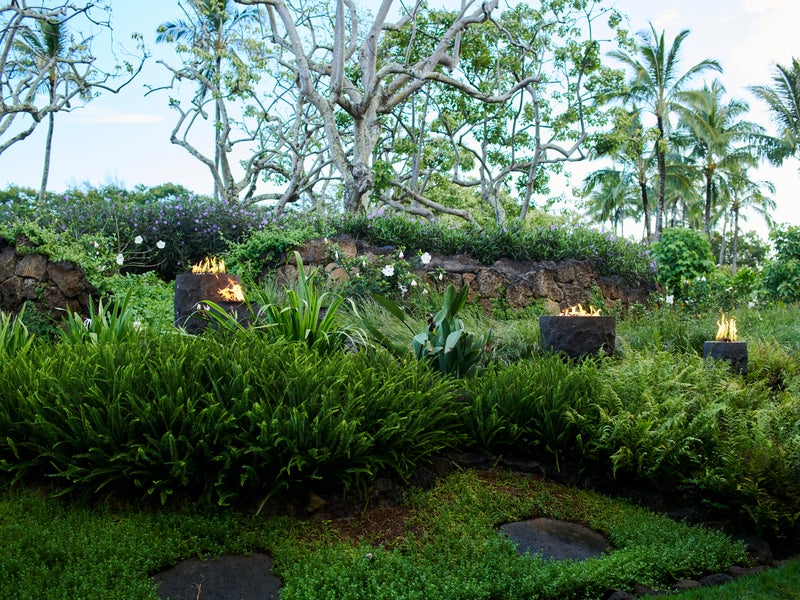 Lobby Garden
