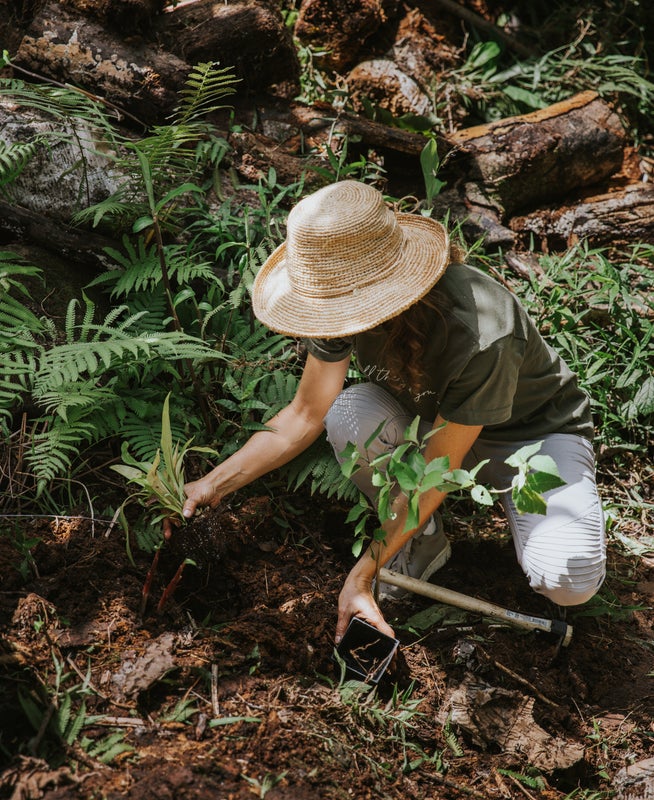 Pay it Forward Planting