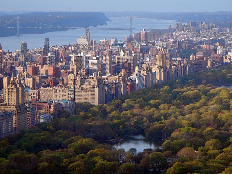 Skyline photo of Manhattan on the edge of central park