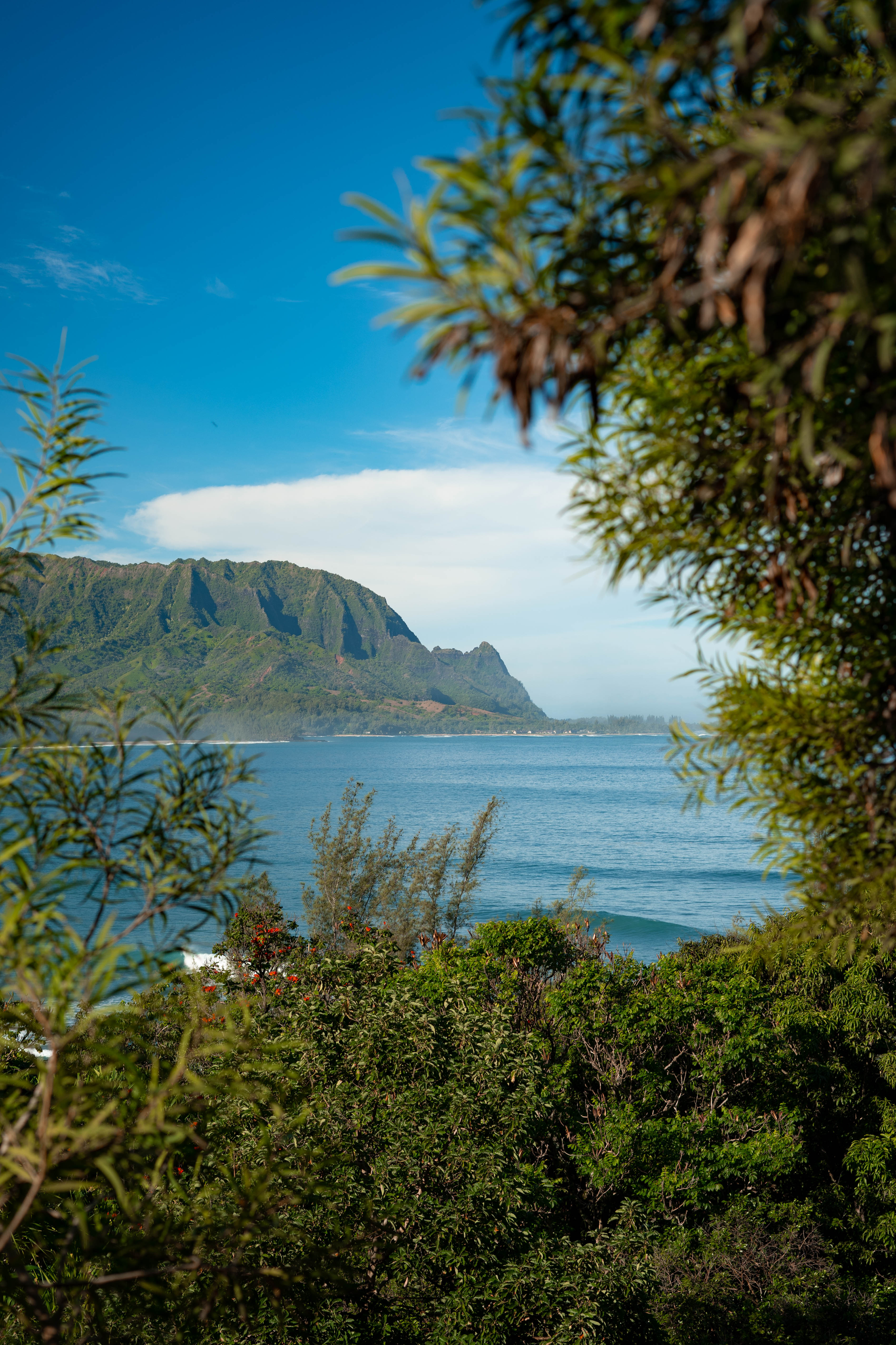 View out to the ocean
