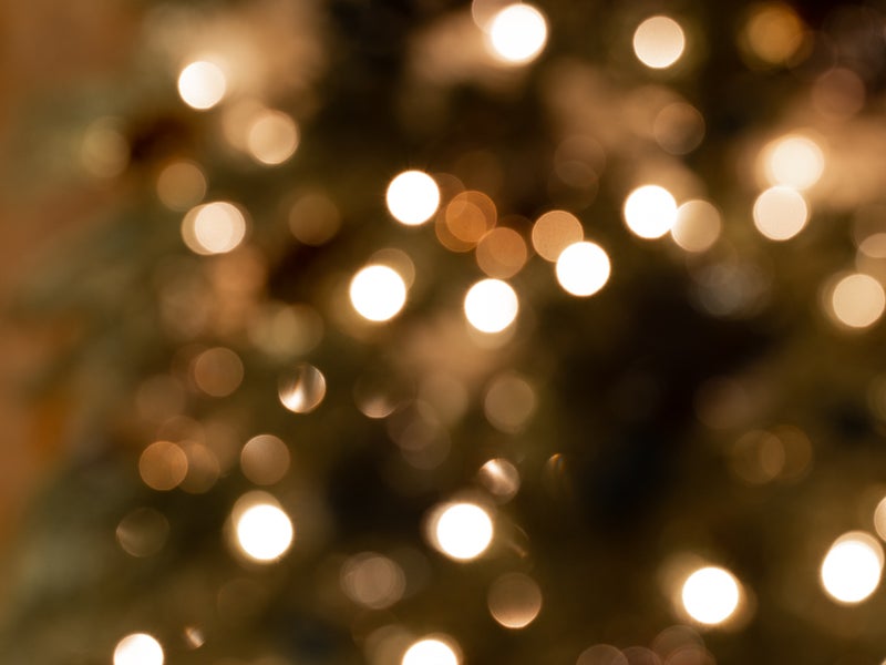 Unfocused image of lights on a tree