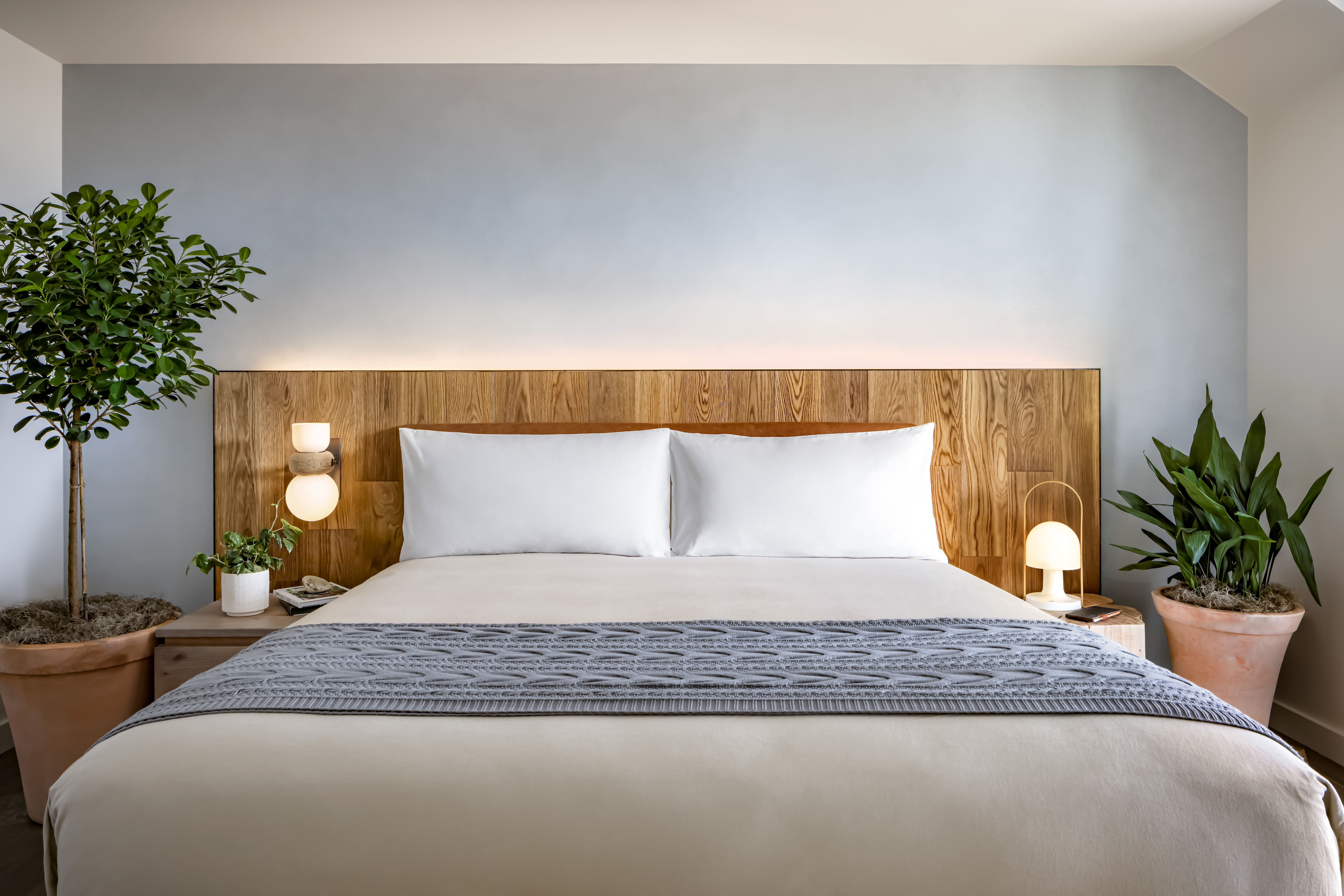 A king size bed with green potted plants on either side