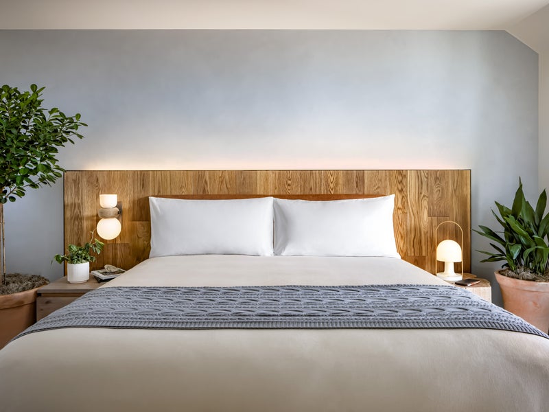 A king size bed with green potted plants on either side