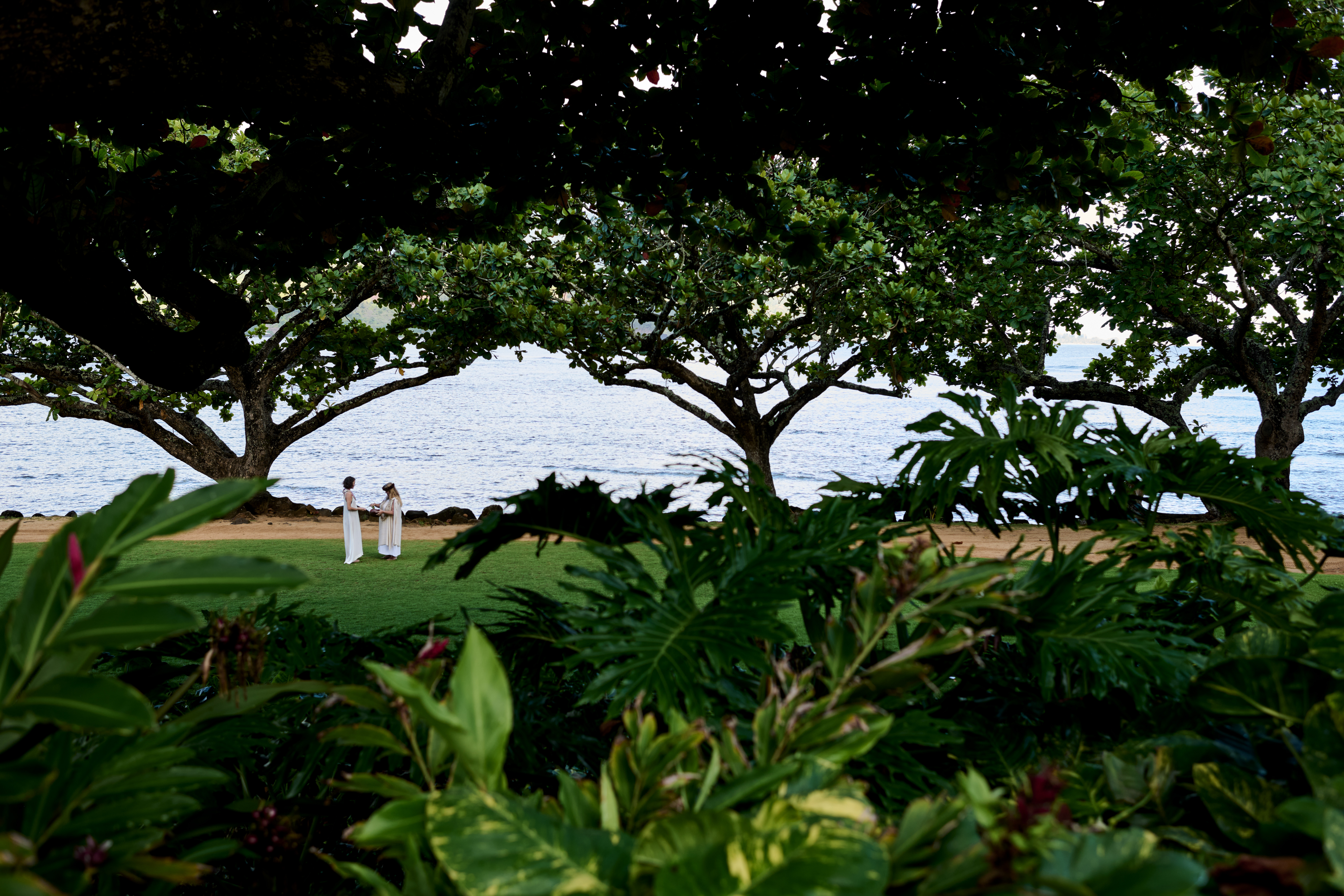 Esperienza culturale