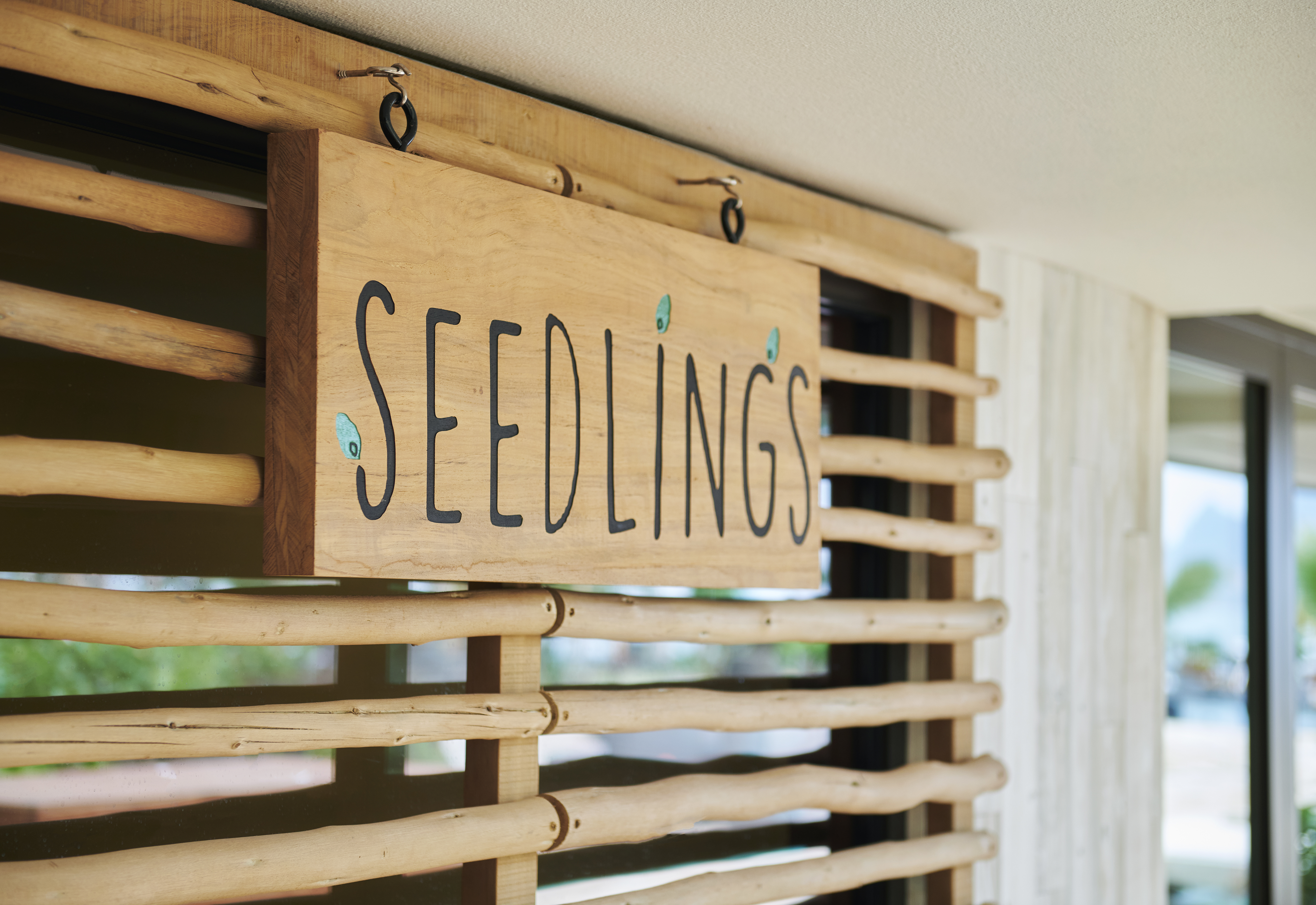 Signe des Seedlings