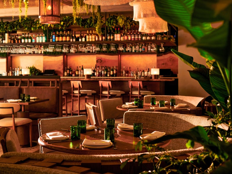 liquor collections and dining tables