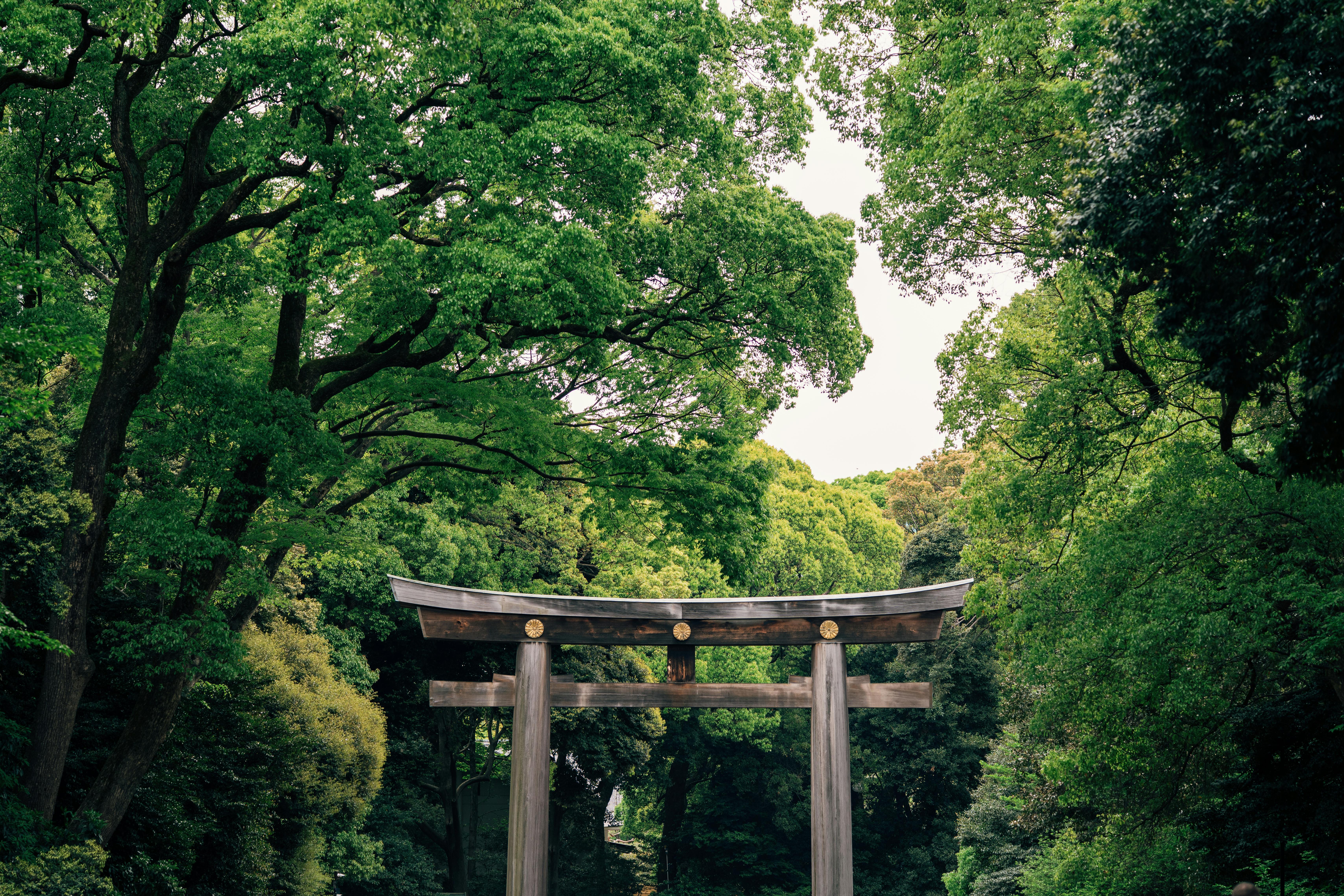 Shrine gate with green plants