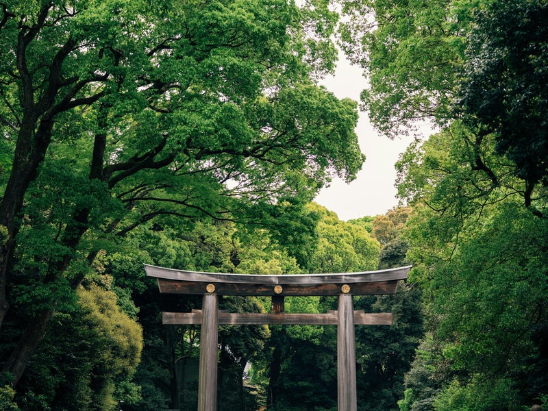 Shrine gate with green plants