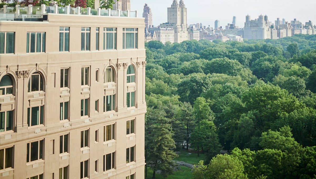 View of central park and skyline