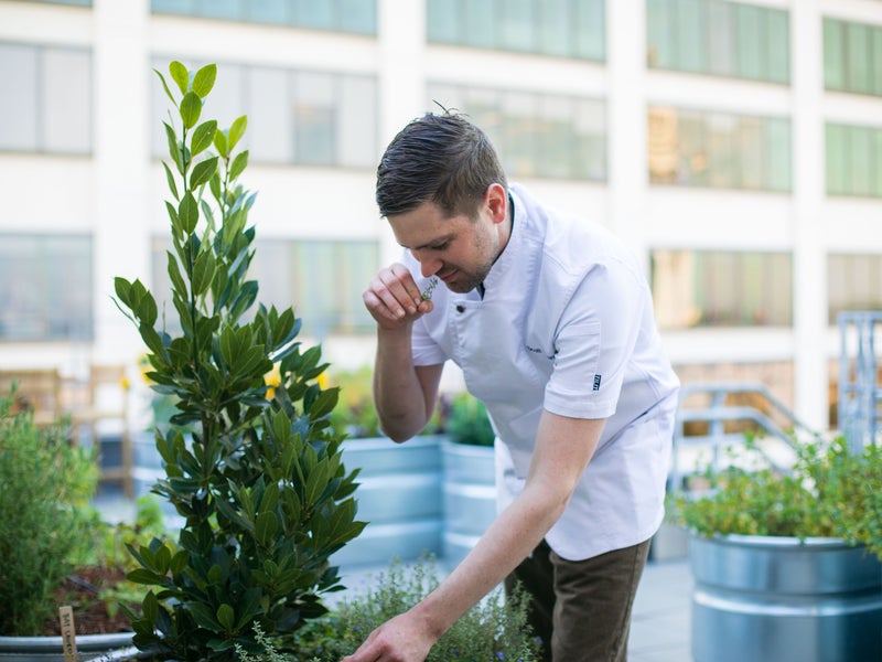 Chef Garden