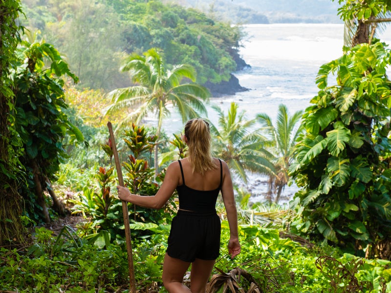 Person hiking along a jungle trail