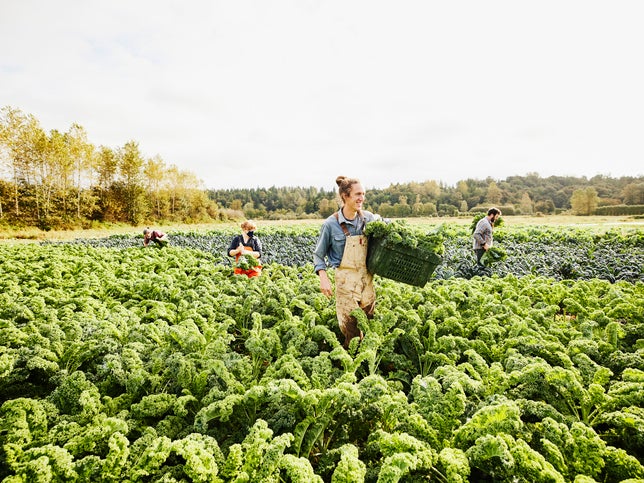 Farming